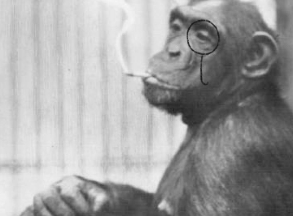 A monkey smoking a cigarette.