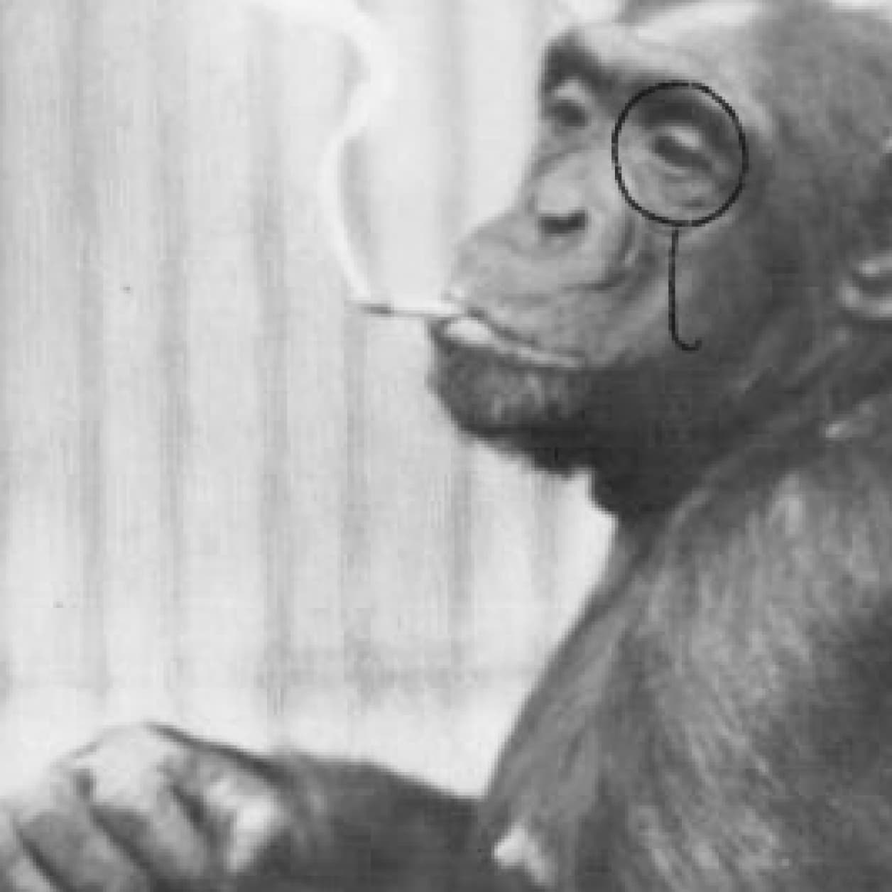 A monkey smoking a cigarette.