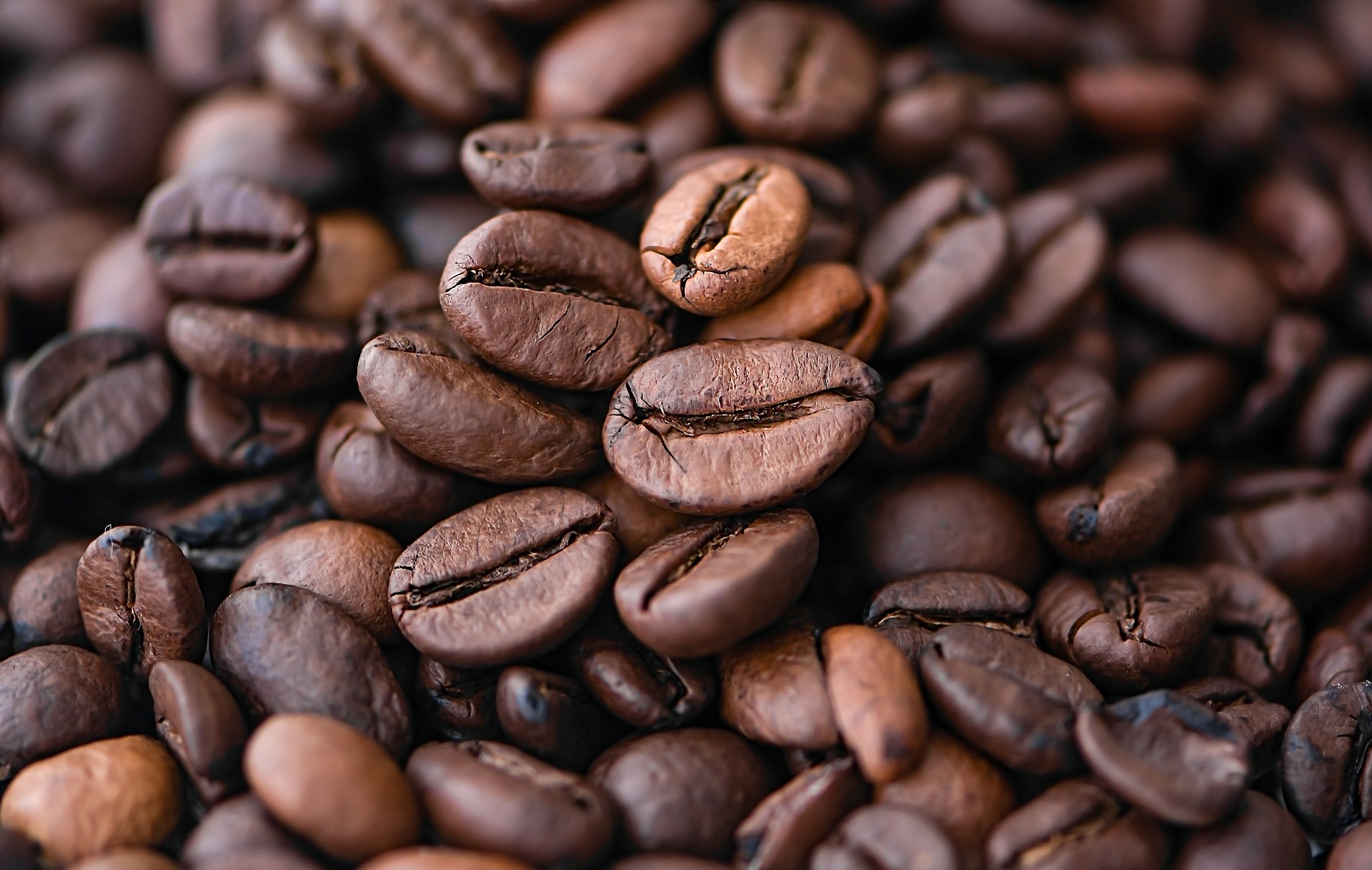 A close up shot of a pile of coffee beans.